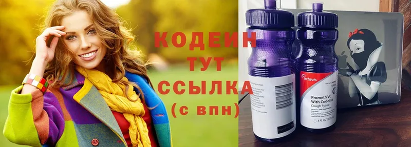 blacksprut маркетплейс  Кириши  Codein Purple Drank  наркошоп 